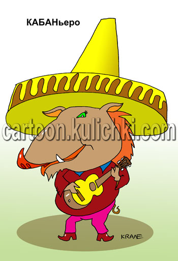 Карикатура о кабане. Мексиканскай кабан в самбреро и с гитарой. Кабальеро
