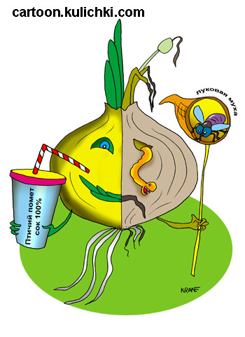 Карикатура о выращивании лука. Выращивание лука на приусадебных участках. Какие нужны препараты для борьбы с вредителями. Как удобрить и полить. Луковая муха и птичий помет.