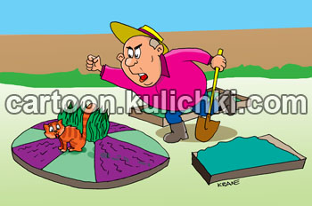 Карикатура про дачу. Дачник гоняет свого кота. Кот удобряет грядку с салатом и луком.