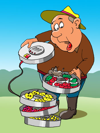 Карикатура о сушке ягод и фруктов, грибов. Дачник сушит на электросушилке мяту, ягоды, яблоки. Мышка греется в сушилке.