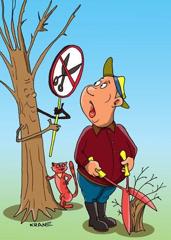 Карикатура об обрезании веток. Деревья дачник подстригает ножницами. Плодовые деревья нельзя подстригать ножницами.