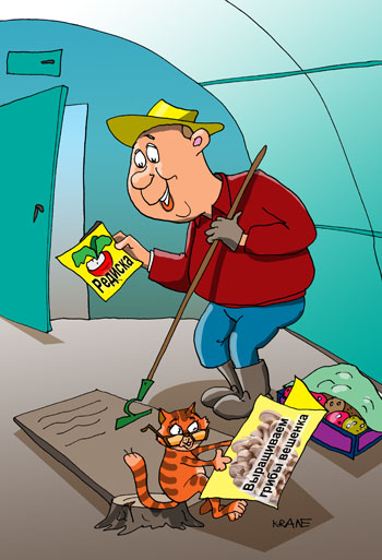Карикатура о посадке рассады. Дачник садит в апреле редиску в теплице. Кот читает журнал. Выращиваем грибы вешенка. 