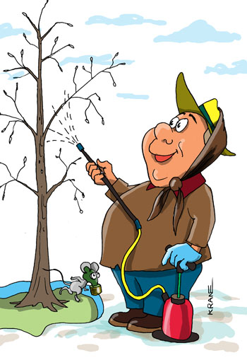 Карикатура об опрыскивании. Дачник опрыскивает деревья ранней весной.