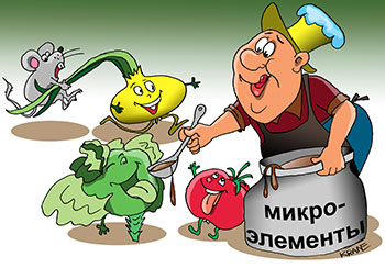 Карикатура о микроэлементах. Дачник делает подкормку растений. Капуста, помидор и лук в очередь.