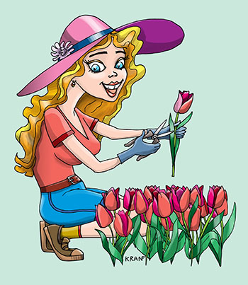 Карикатура про тюльпаны. Девушка срезает тюльпаны.