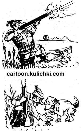 Карикатура об утиной охоте с собакой. Охотник метко стреляет утку и охотничий пес помчался, чтобы принести хозяину добычу, но принес только кучку дроби.