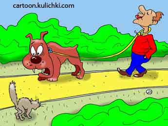 Карикатура о собаководе. Любитель собак выгуливает своего бойцовского пса на поводке одев себе на шею ошейник. Песик готовится погнаться за котиком. Трагедия неизбежна. 