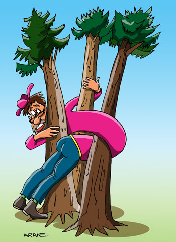 Карикатура про заблудился в трех соснах. Мужик заблудился в трех соснах. Запутался между трех деревьев.