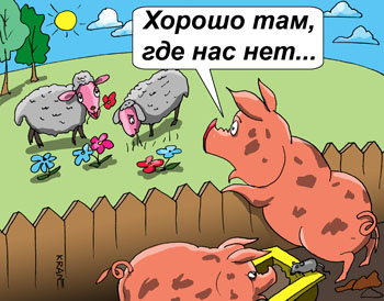 Карикатура об иммиграции. Овечки на лужайке травку щиплют. Свиньи в грязи роются. Хорошо там, где нас нет.