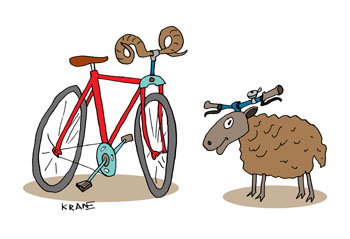 Карикатура о велосипеде и баране. Баран поменял свои рога на велосипедный руль. Велосипед с рогами шикарно выглядит.
