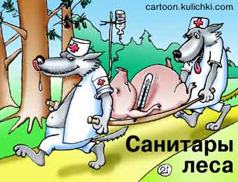 Карикатура о санитарах леса. Волки несут больную свинью на носилках. Капильница, градусник.