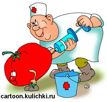Карикатура про процедурный кабинет. Медбрат дачник ставит укол помидору.
