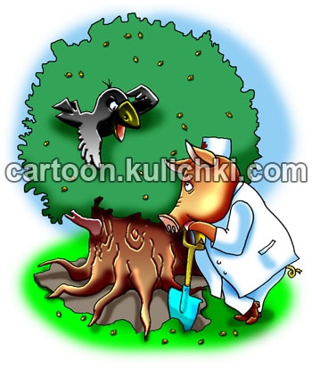 Карикатура о свинье и дубе с желудями. Свинья, дуб и желуди. Ворона на дубу дает советы как лечить. Свинья работает врачом и лопатой гребет желуди.