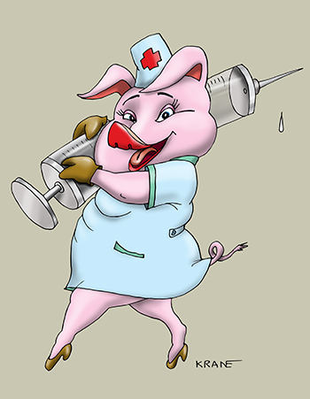Карикатура про медсестра свинья. Медсестра свинья с большим шприцем