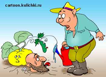 Карикатура о дачных работах. Дачник с лейкой поливал тыквы и увидел засохшую голову Саида.