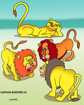 Карикатура про львиную любовь. Одна львица и три льва. Львы хотят поделить львицу на троих, а львица думает, что они будут драться за даму.