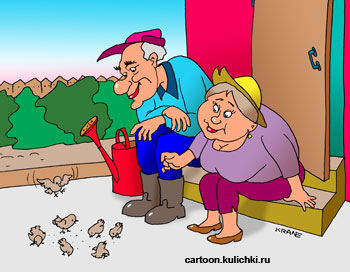 Карикатура про дачника и его тяжелый труд на огороде. Дачник и дачница на крыльце свое не узаконенного дома  кормят семечками воробьев.