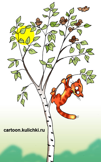 Карикатура про котенка взобравшегося высоко на березу за воробьями.