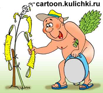 Карикатура про дачника. Дачник из кукурузы сделал мочалки, взял веник, тазик и пошел париться в баню.