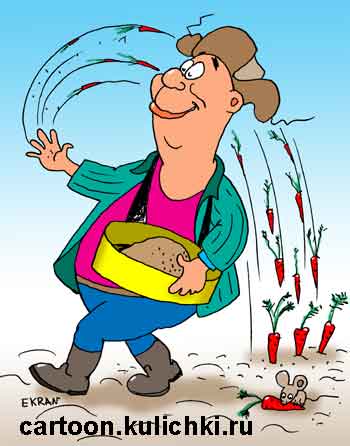 Карикатура о сезонных дачных работах. Дачник садит морковку. Мышка грызет морковку в процессе ее роста.