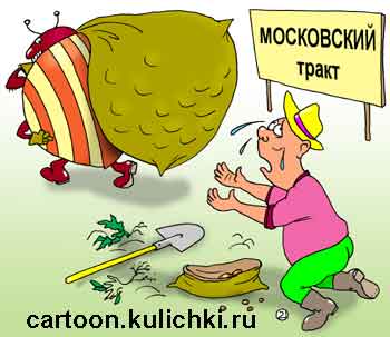 Карикатура о вредителях сада и огорода. Колорадский жук унес весь урожай картошки у бедных дачников по Московскому тракту.