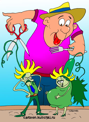 Карикатура про дачника. Дачник выращивает на даче огурцы. Подрезает растения. Мужские и женские особи.