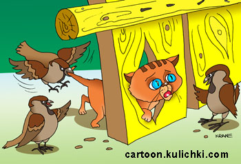 Комикс о котенке. Котенок застрял в дырке забора. Воробьи над ним смеются.