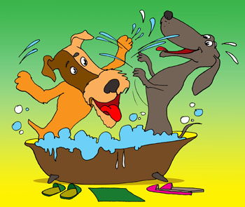 Карикатура о купании собак. Таксы и фокстерьер плескаются в ванной с шампунями для собак.