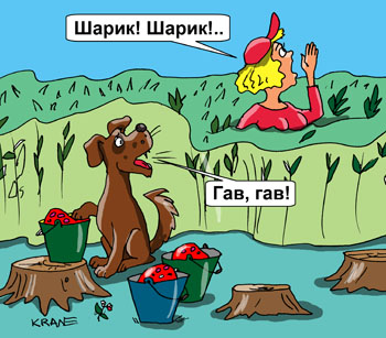 Карикатура о малине. Собирают в лесу малину. Потеряли ведра с ягодой. Собака охраняет ведра.