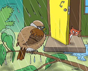 Карикатура о воробье. Нахохлившийся воробей на ветке мокнет под дождем. Кот вышел на веранду.