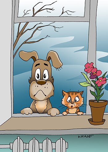 Карикатура про потеряшек. Кот и пёс на улице смотрят в окно и мечтают чтобы их приютили