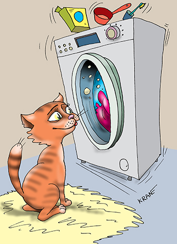 Карикатура про кота и стиральную машину. Кот любит смореть как стирает стиральная машина.