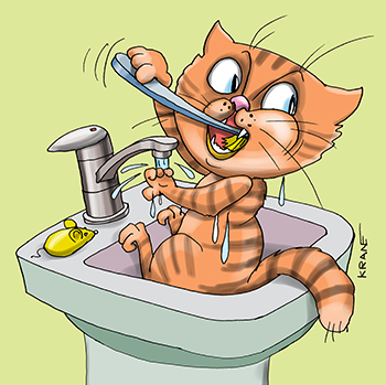 Карикатура про чистить зубы. Кот чистит зубы и умывается в раковине