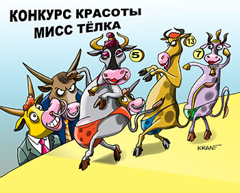 Карикатура про конкурс красоты. КОНКУРС КРАСОТЫ МИСС ТЁЛКА. Быки оценивают красоты походки коров на подиуме.